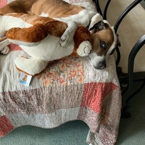 Meet your Posher, Natalie